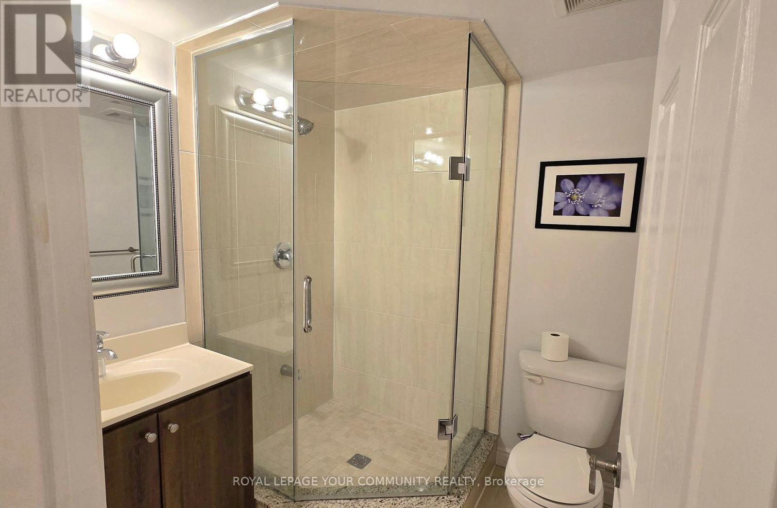 Lower - 20 Seiffer Crescent, Richmond Hill, Ontario  L4E 0J1 - Photo 19 - N12441748