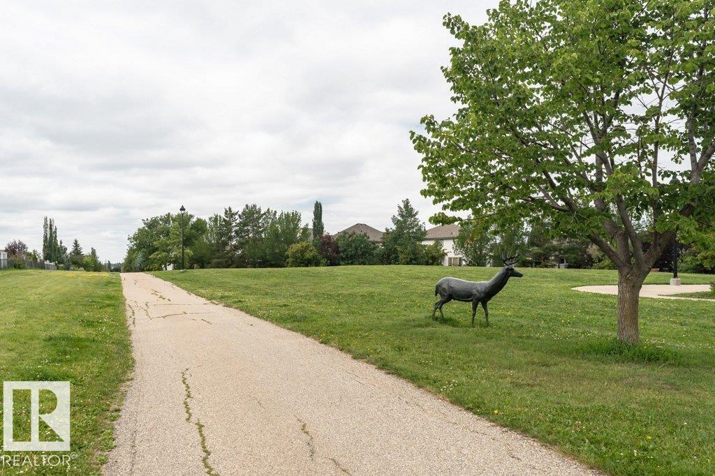 #215 1589 Glastonbury Bv Nw, Edmonton, Alberta  T5T 2V1 - Photo 56 - E4446285