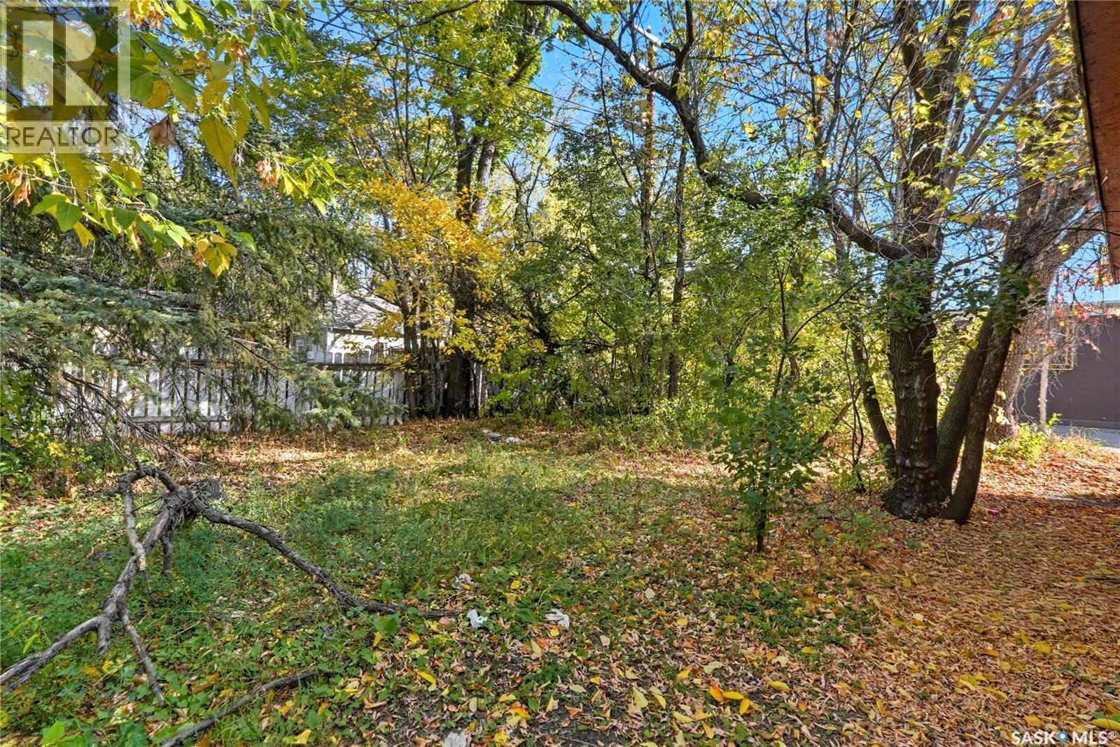 521 Albert Avenue, Saskatoon, Saskatchewan  S7N 1G4 - Photo 15 - SK019977