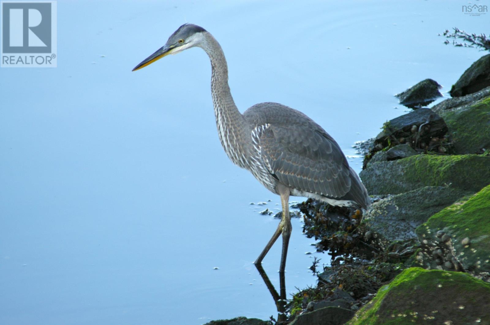 4 Arthur Lismer Court, Bedford, Nova Scotia  B4A 4B4 - Photo 45 - 202516561
