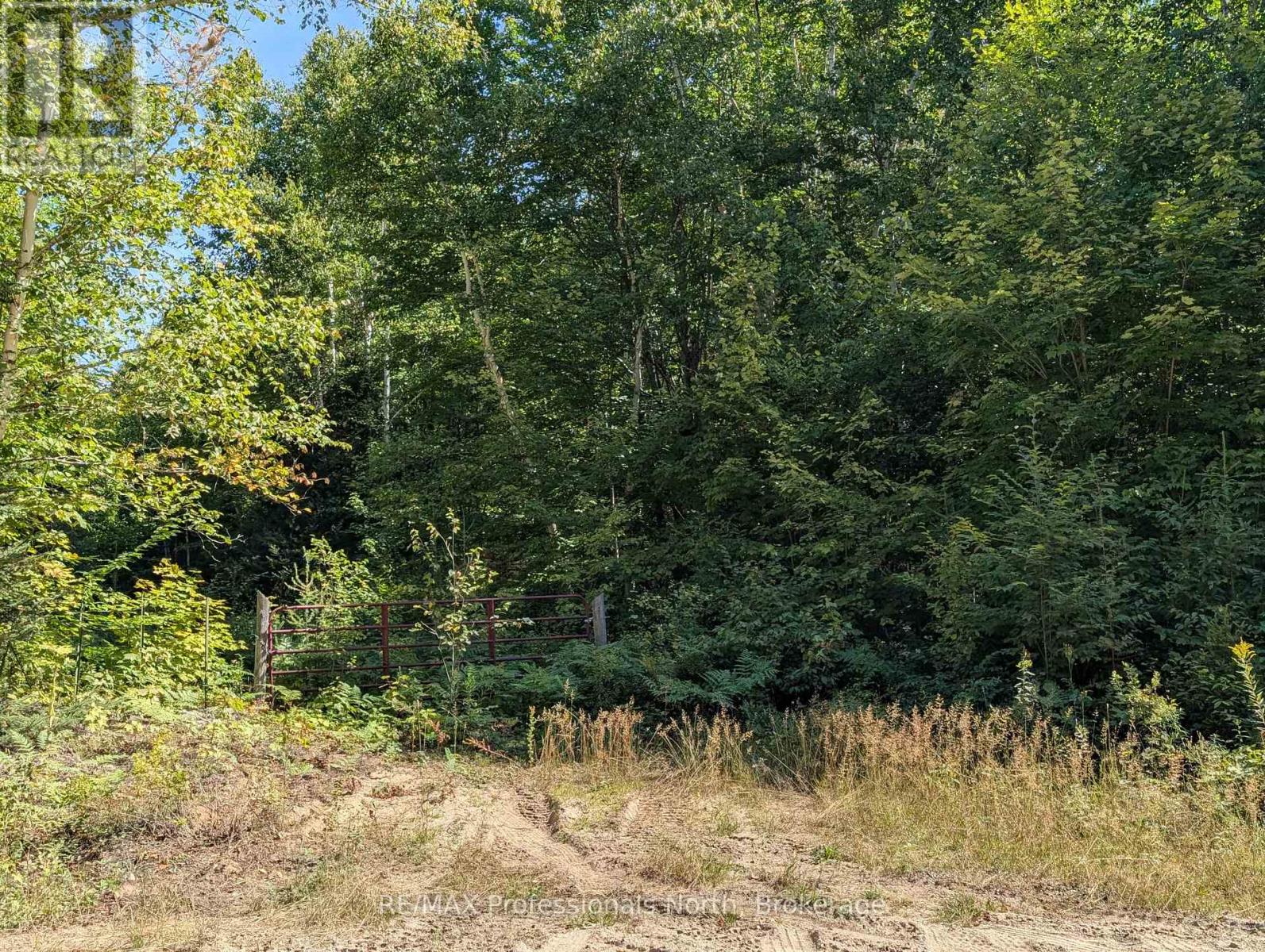 611 Bray Lake Road, Machar, Ontario  P0A 1X0 - Photo 10 - X12442109