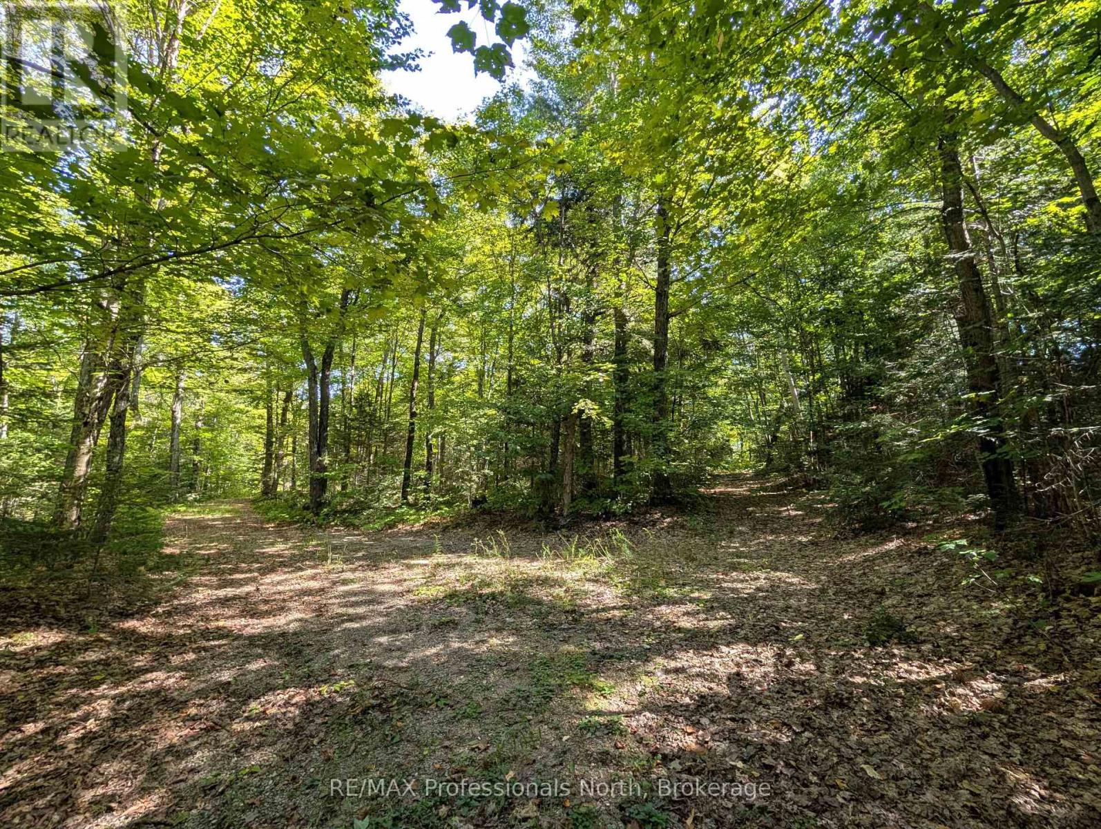 611 Bray Lake Road, Machar, Ontario  P0A 1X0 - Photo 2 - X12442109