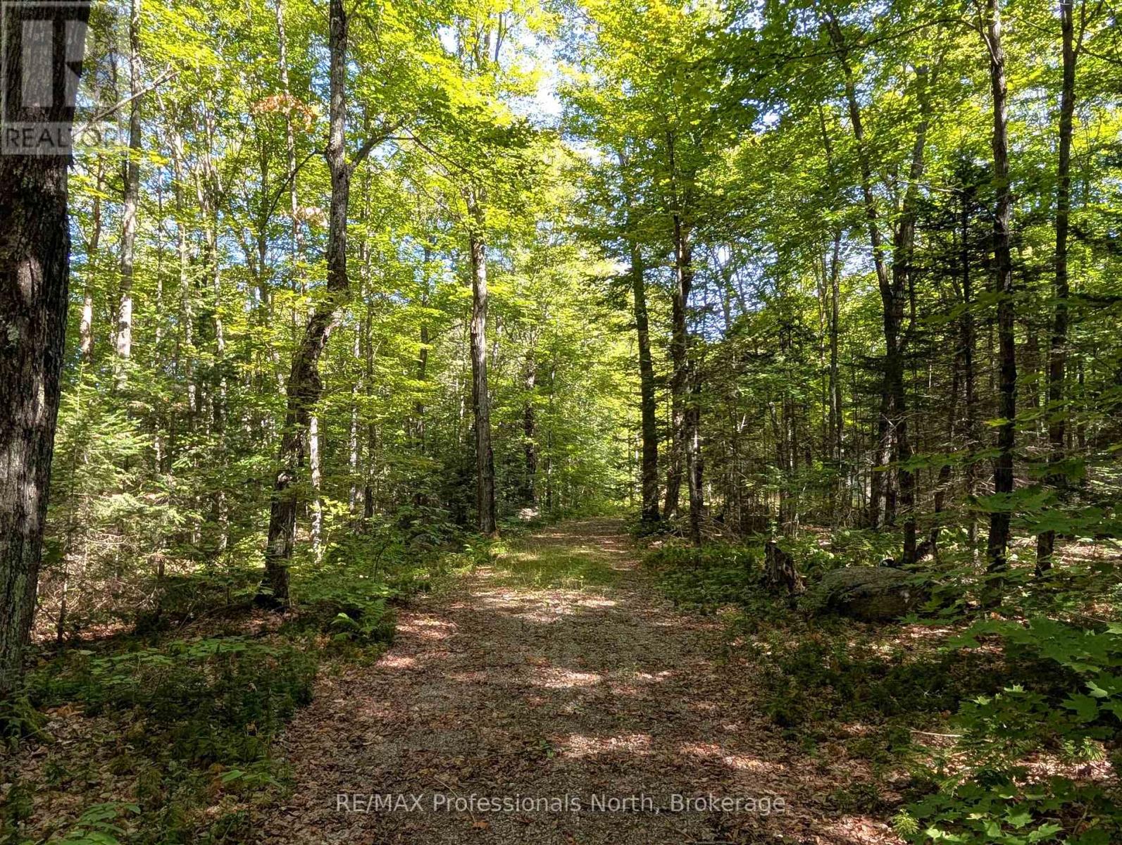 611 Bray Lake Road, Machar, Ontario  P0A 1X0 - Photo 3 - X12442109