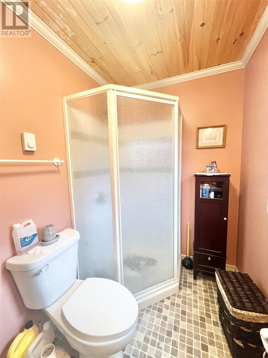 132290 West Bottom North Road, South Brook, Newfoundland & Labrador  A0J 1S0 - Photo 24 - 1291137
