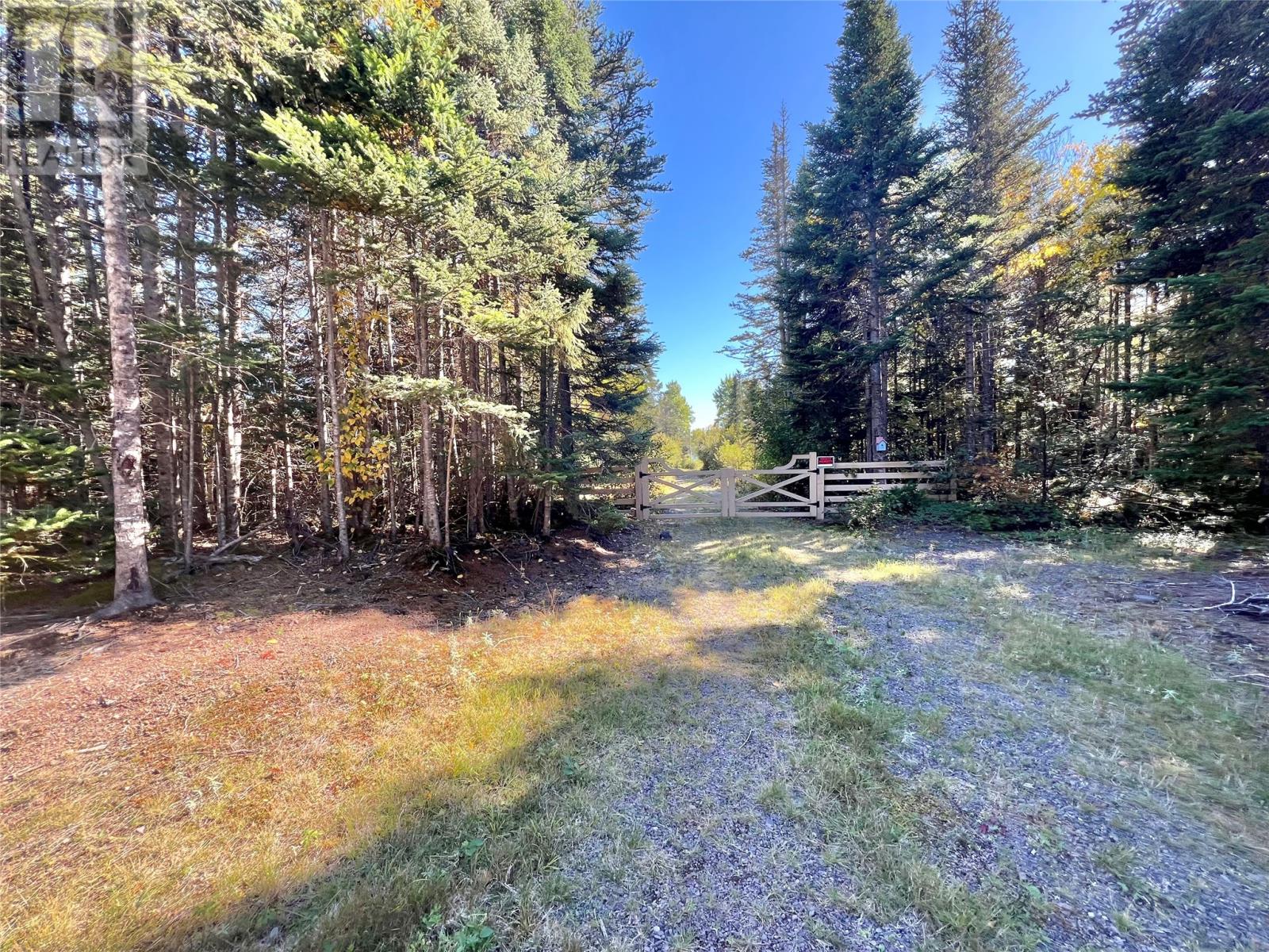 132290 West Bottom North Road, South Brook, Newfoundland & Labrador  A0J 1S0 - Photo 37 - 1291137