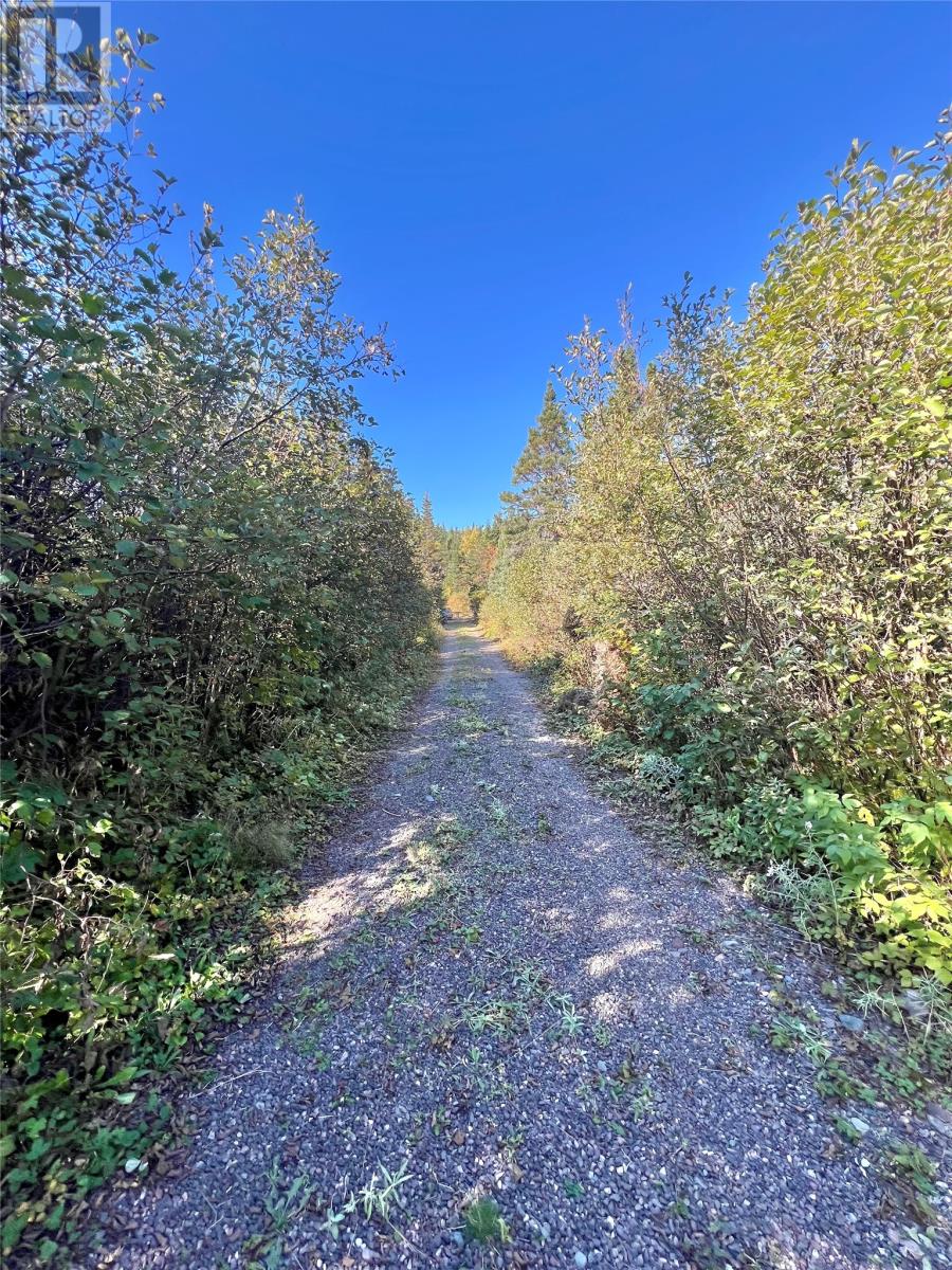 132290 West Bottom North Road, South Brook, Newfoundland & Labrador  A0J 1S0 - Photo 38 - 1291137