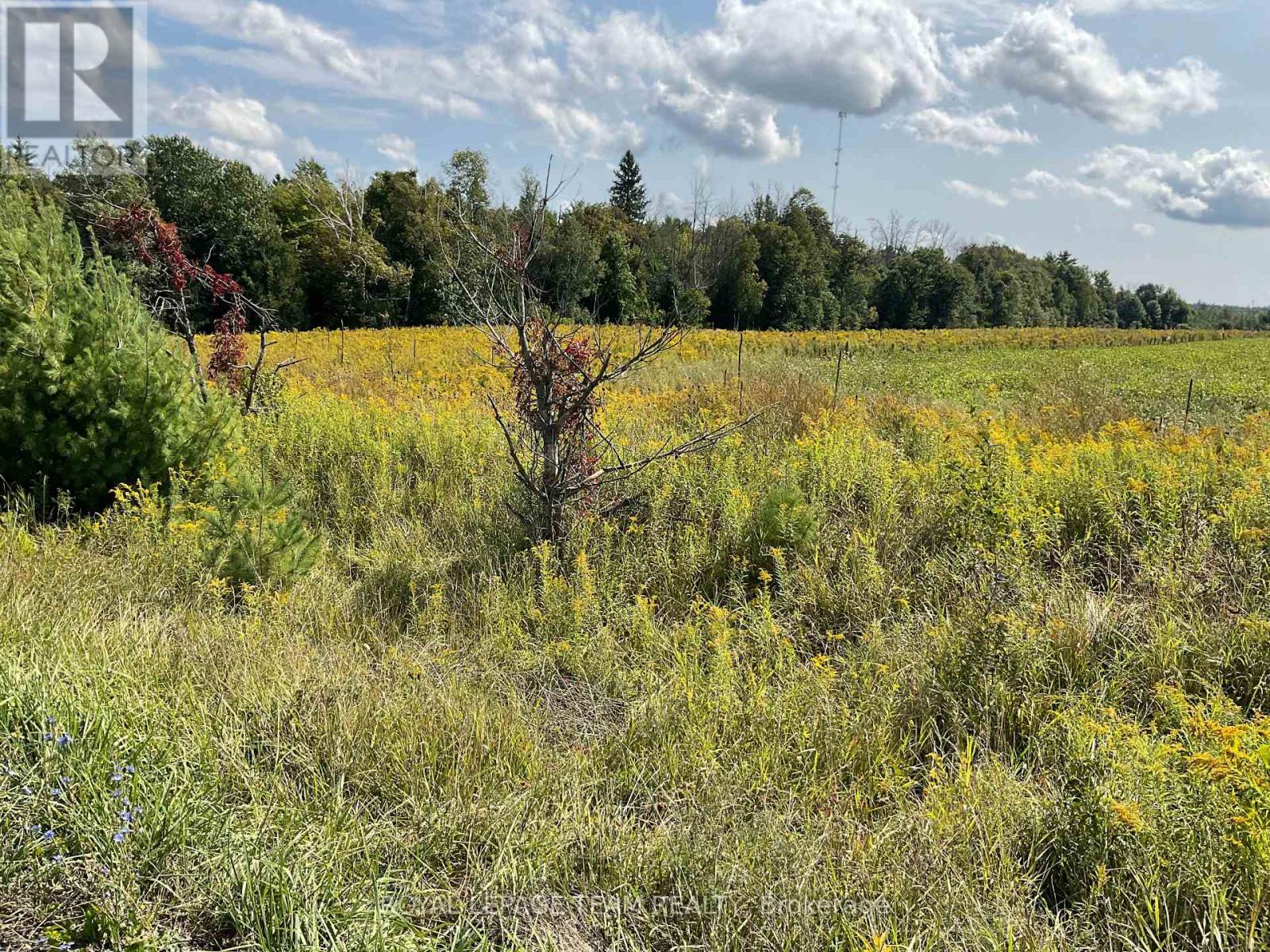 1211 Bellamy Road, Mississippi Mills, Ontario  K0A 2X0 - Photo 1 - X12442080