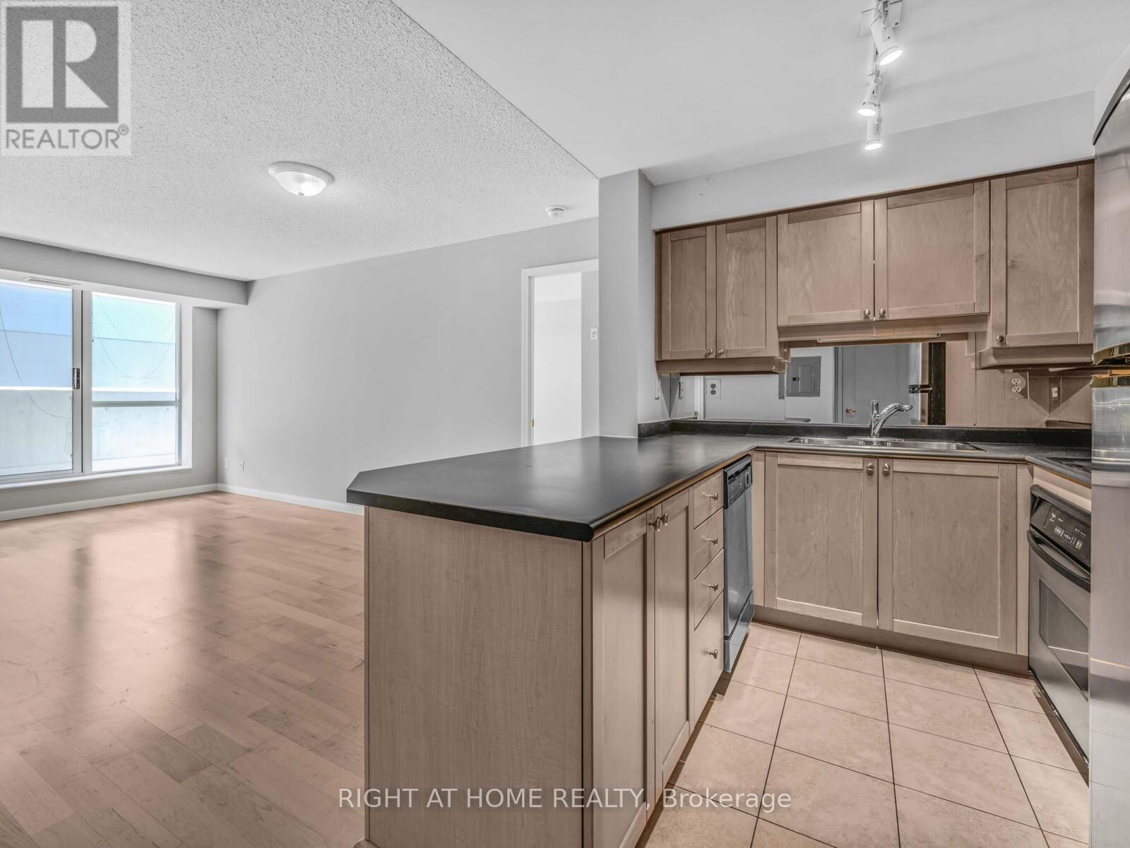 710 - 18 Stafford Street, Toronto, Ontario  M5V 3W4 - Photo 9 - C12442045