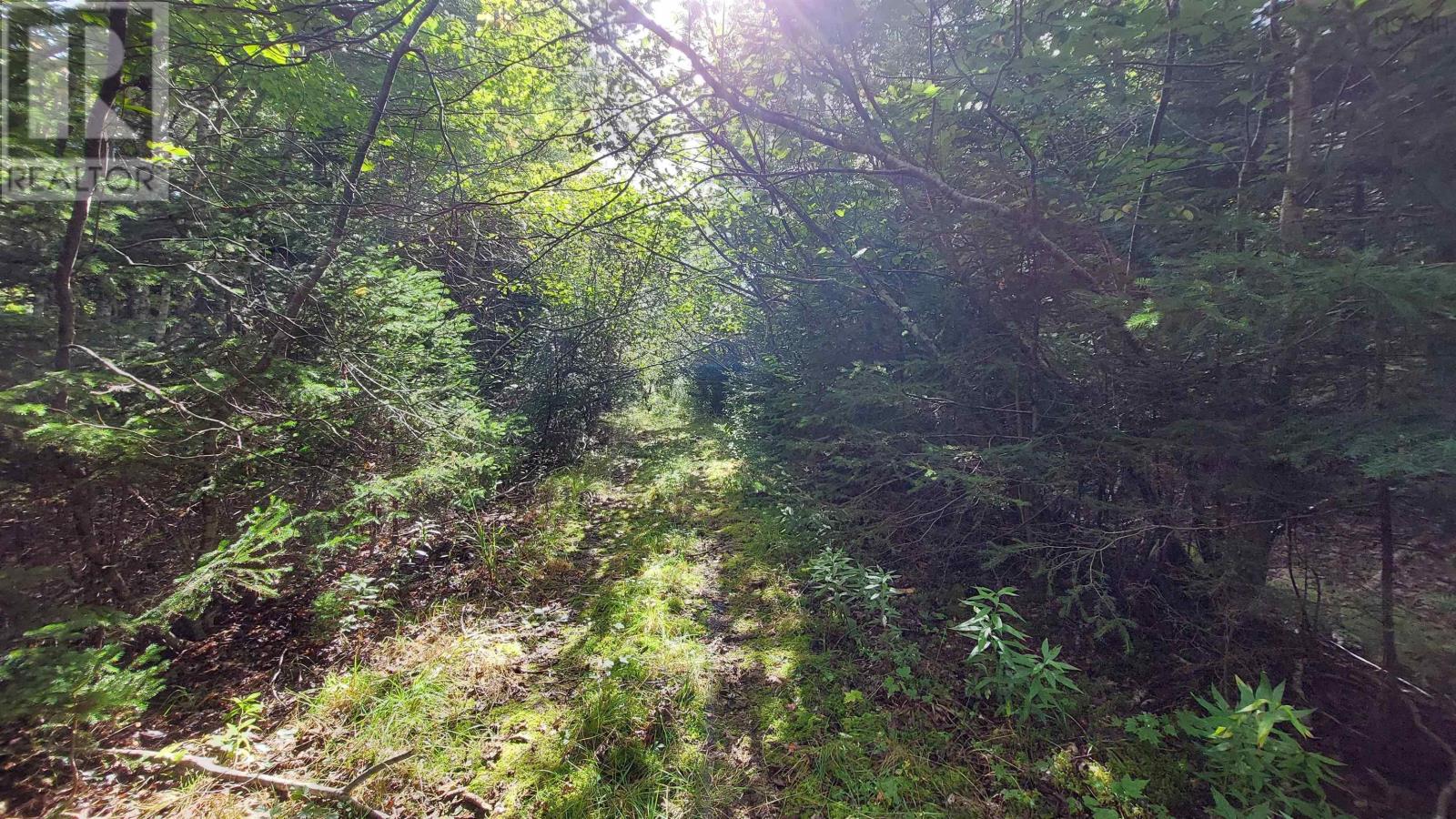 Lot 14 Golden Shore Dr, Marshes (West Bay), Nova Scotia  B0E 1V0 - Photo 17 - 202524498