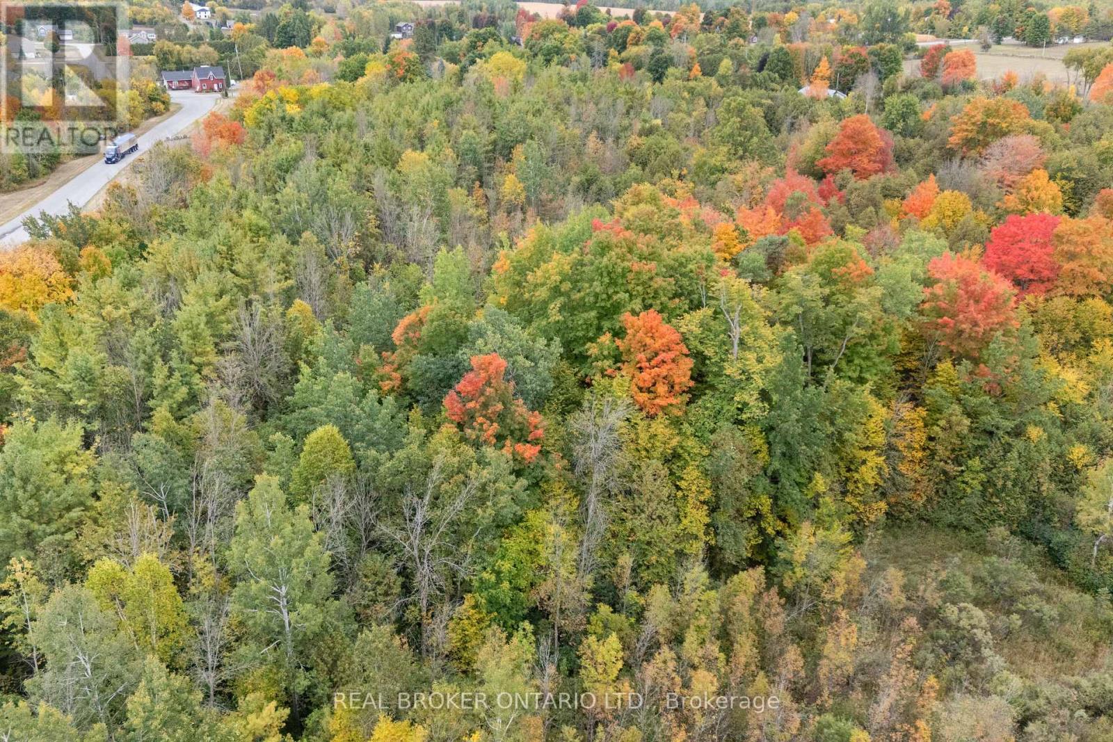 2099 County  20 Road, North Grenville, Ontario  K0G 1T0 - Photo 42 - X12442130