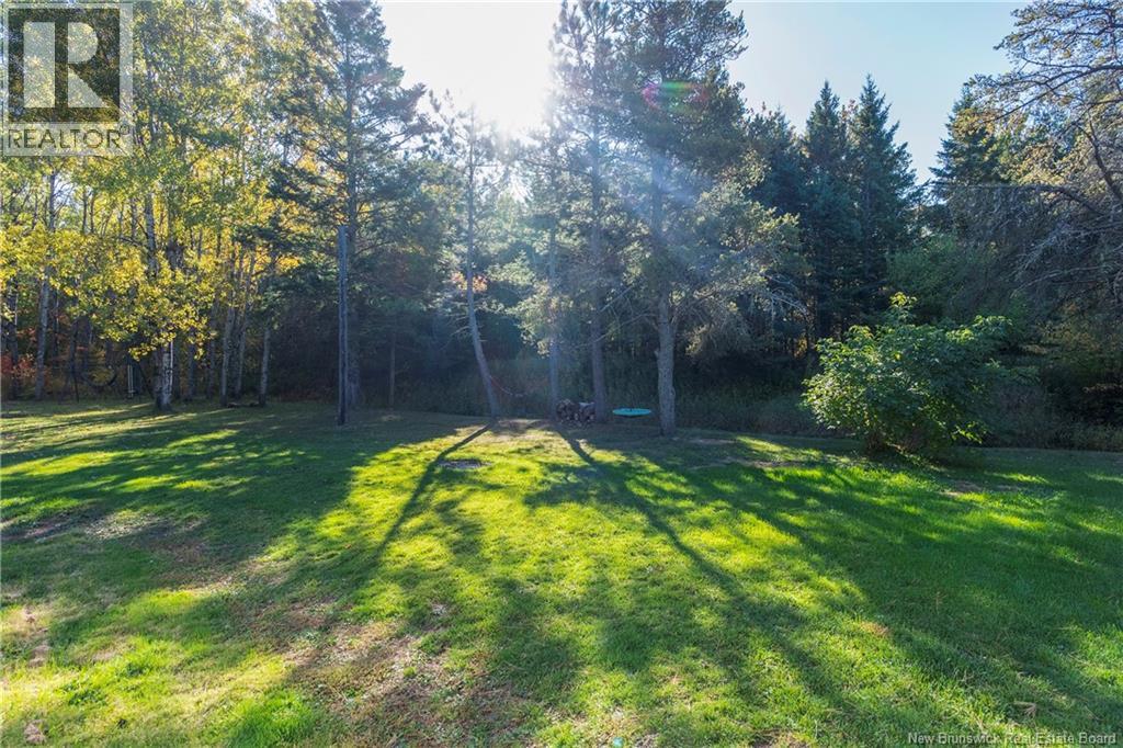 381 Caledonia Road, Moncton, New Brunswick  E1H 2E8 - Photo 47 - NB127866