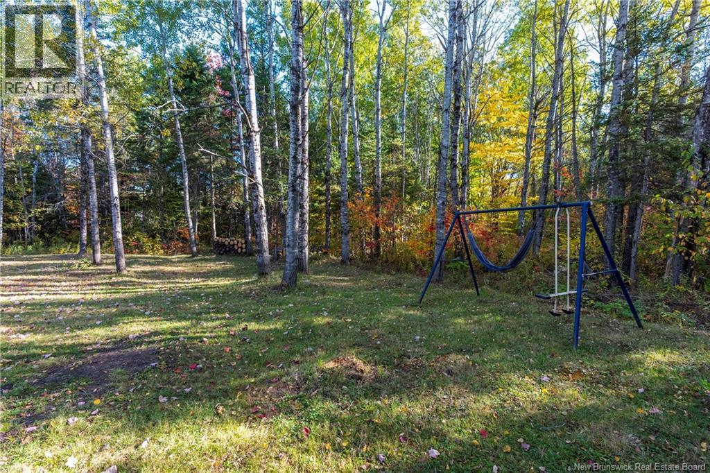 381 Caledonia Road, Moncton, New Brunswick  E1H 2E8 - Photo 49 - NB127866