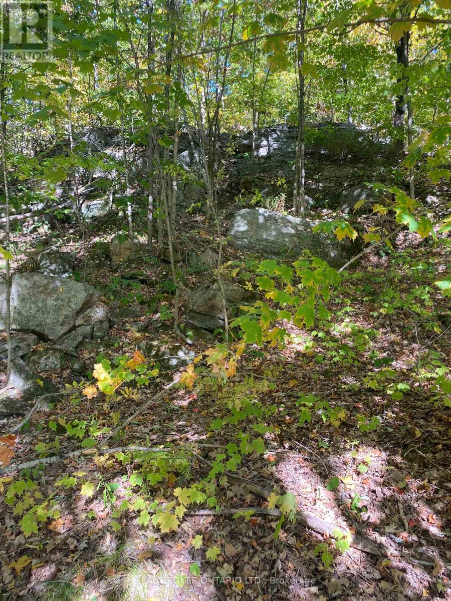 1248 Beiers Road, Gravenhurst (Morrison), Ontario  P0E 1G0 - Photo 11 - X12442164