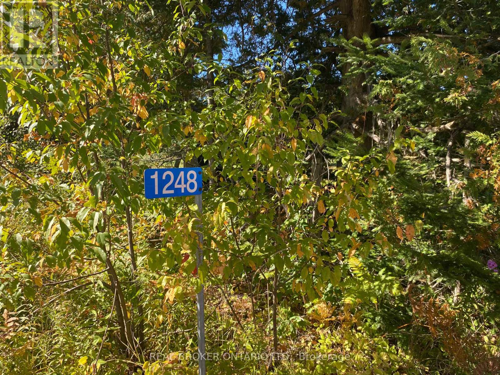 1248 Beiers Road, Gravenhurst (Morrison), Ontario  P0E 1G0 - Photo 12 - X12442164
