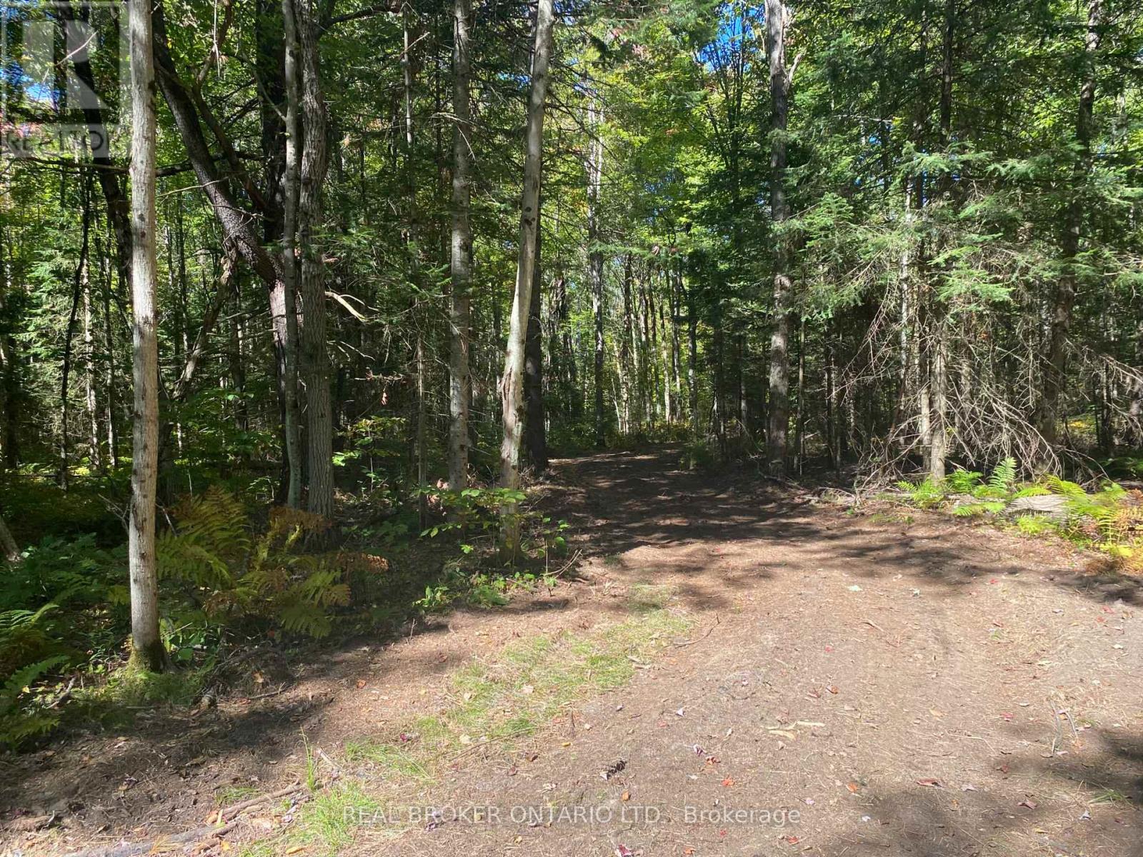 1248 Beiers Road, Gravenhurst (Morrison), Ontario  P0E 1G0 - Photo 6 - X12442164