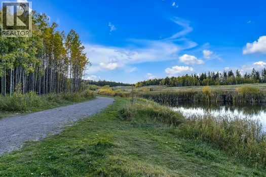 41 Evergreen Mount Sw, Calgary, Alberta  T2Y 0K1 - Photo 48 - A2259863