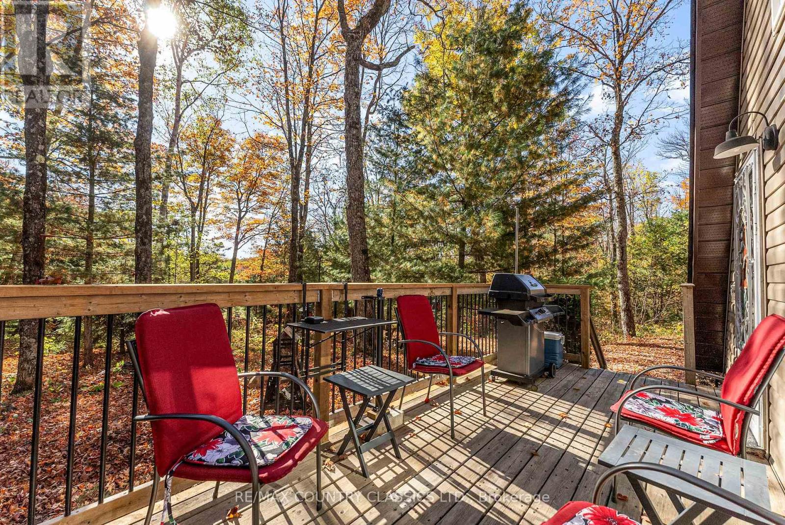 1201 Moraine Drive, Highlands East, Ontario  K0L 1M0 - Photo 25 - X12442248