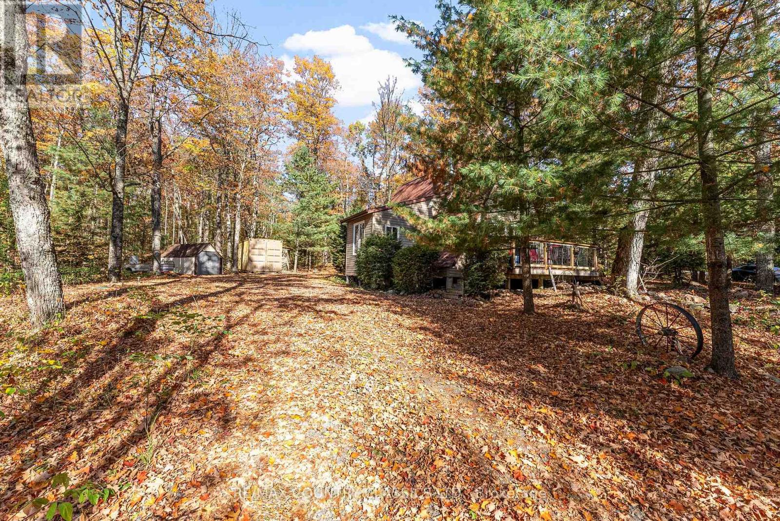 1201 Moraine Drive, Highlands East, Ontario  K0L 1M0 - Photo 31 - X12442248