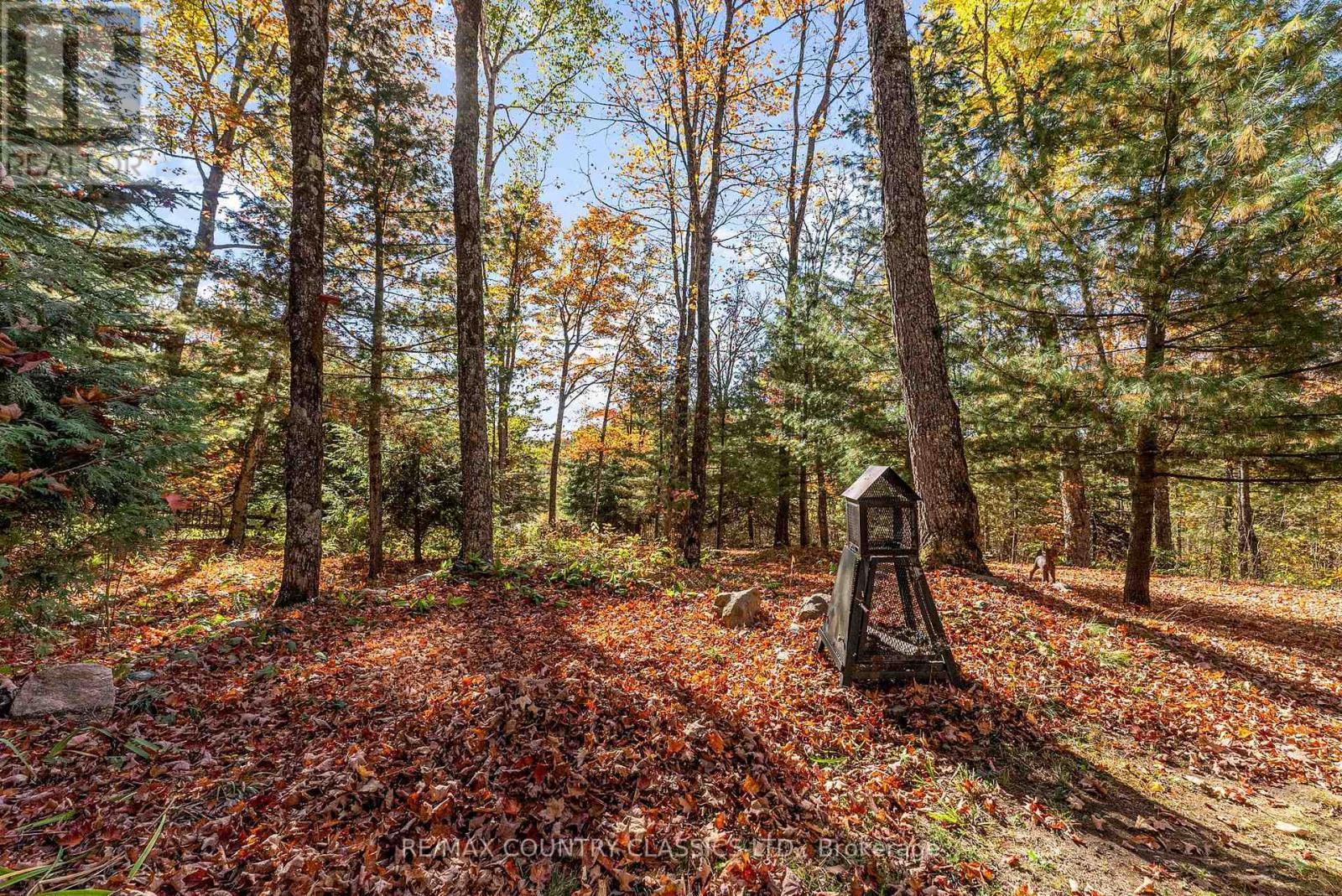 1201 Moraine Drive, Highlands East, Ontario  K0L 1M0 - Photo 32 - X12442248