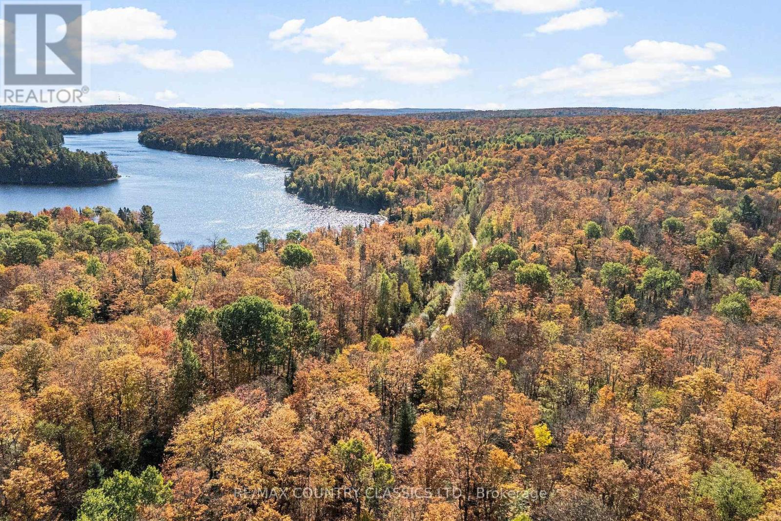 1201 Moraine Drive, Highlands East, Ontario  K0L 1M0 - Photo 33 - X12442248