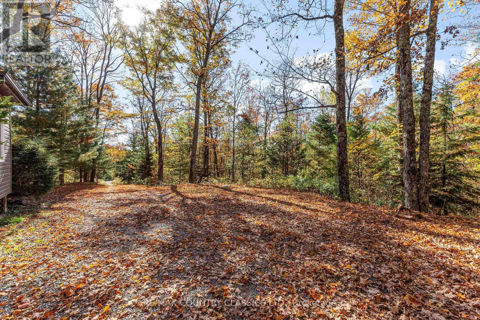 1201 Moraine Drive, Highlands East, Ontario  K0L 1M0 - Photo 37 - X12442248