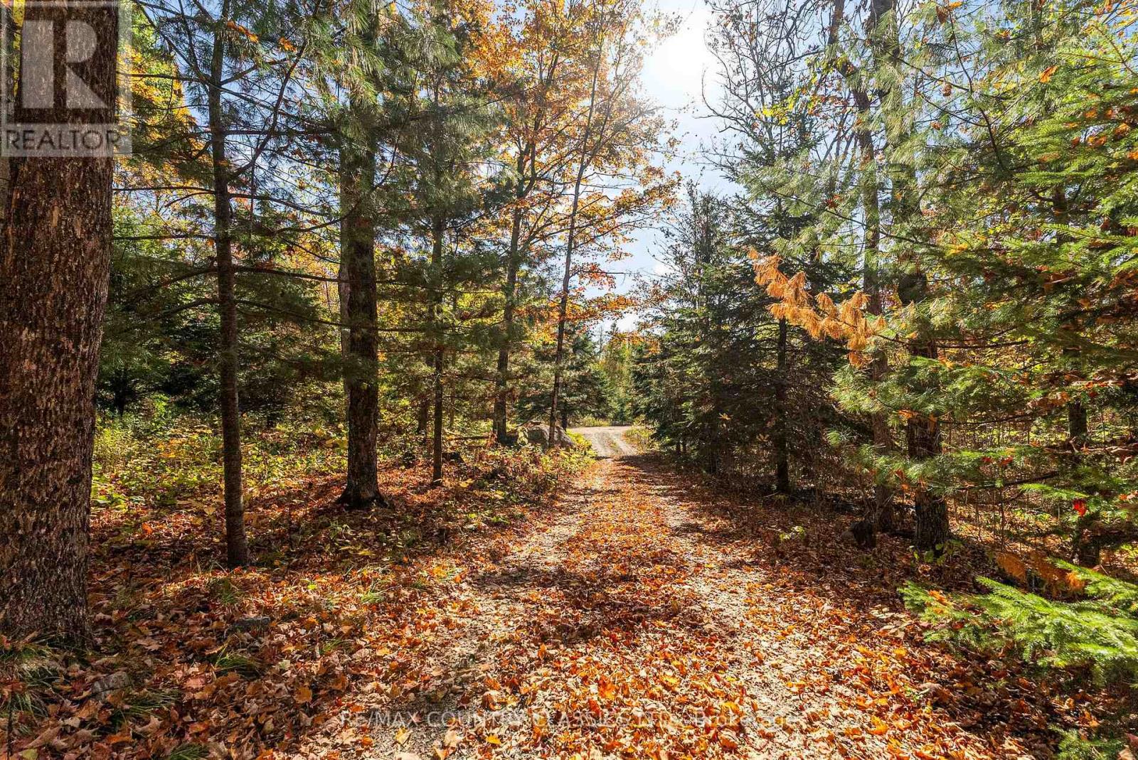 1201 Moraine Drive, Highlands East, Ontario  K0L 1M0 - Photo 38 - X12442248