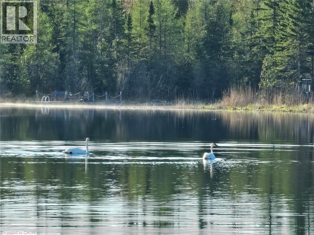 133596 Wilcox Lake Road, Flesherton, Ontario  N0C 1E0 - Photo 42 - 40766544