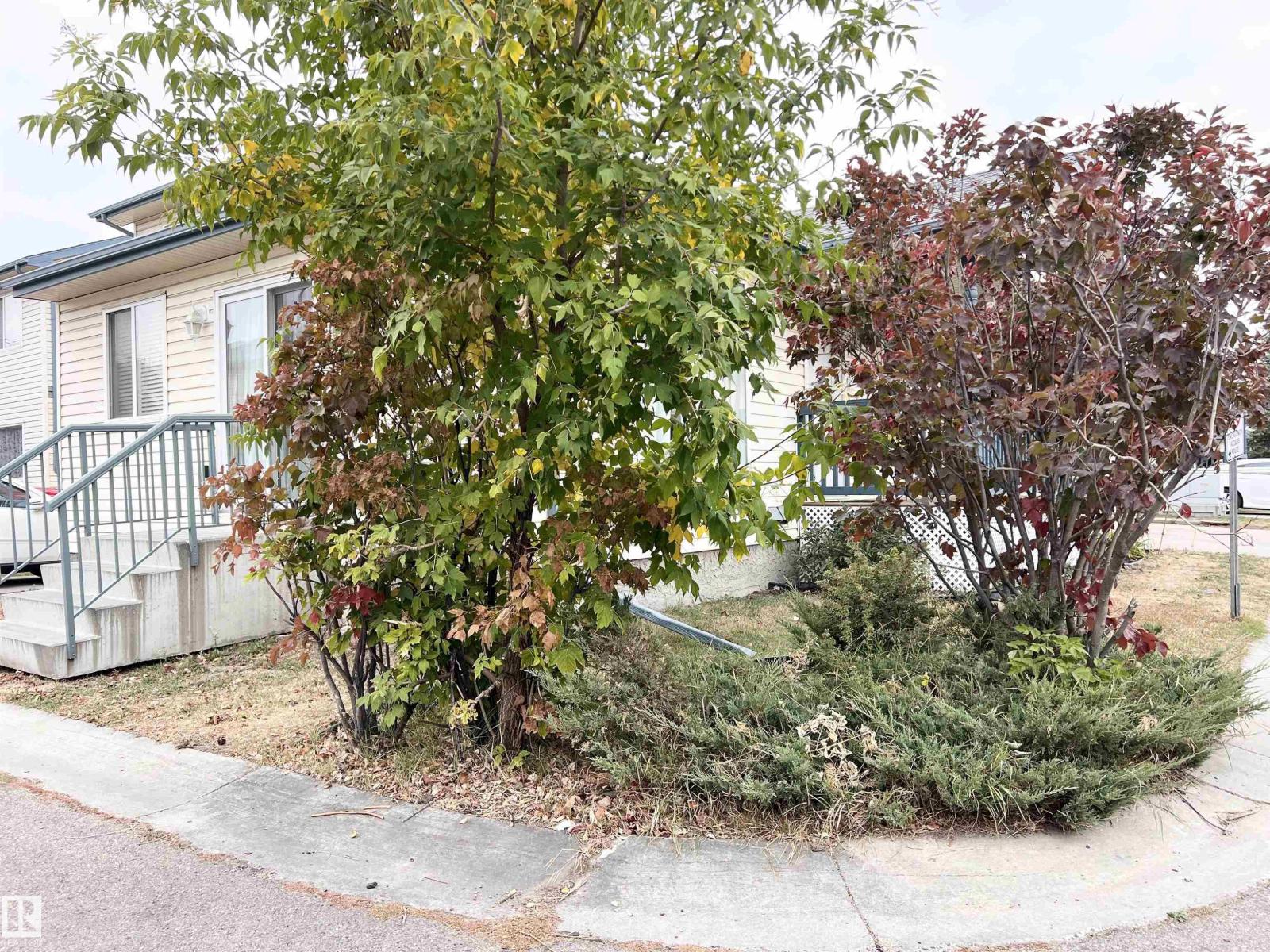 #19 10909 106 St Nw Nw, Edmonton, Alberta  T5H 4M7 - Photo 4 - E4460608