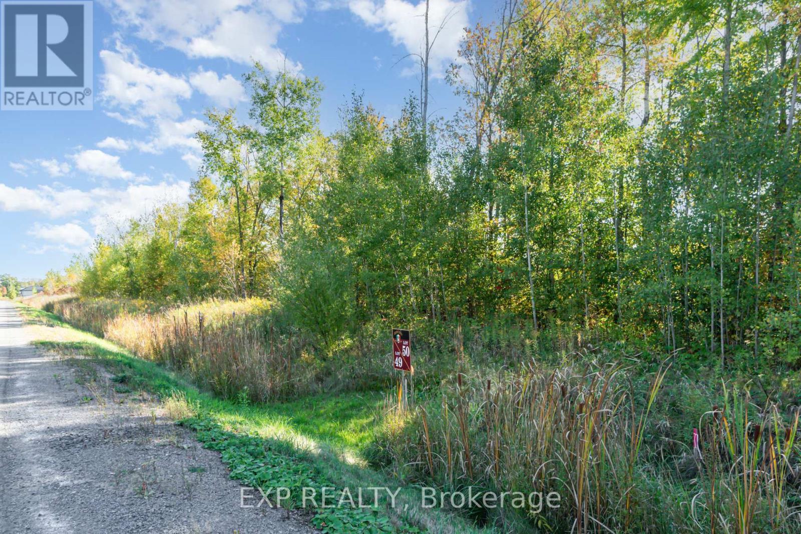 31 Synergy Way, Ottawa, Ontario  K2K 1X7 - Photo 6 - X12441805