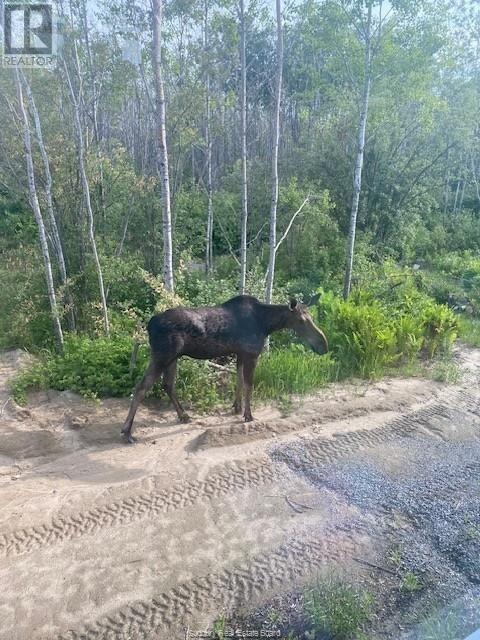1836 Yorkshire Drive, Val Caron, Ontario  P3N 1R9 - Photo 68 - 2125062