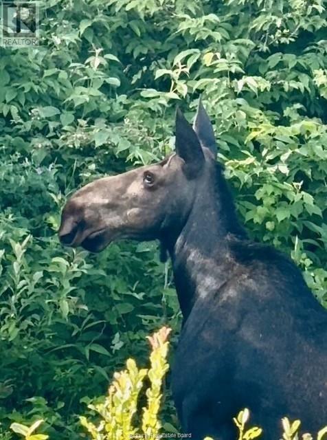 1836 Yorkshire Drive, Val Caron, Ontario  P3N 1R9 - Photo 69 - 2125062