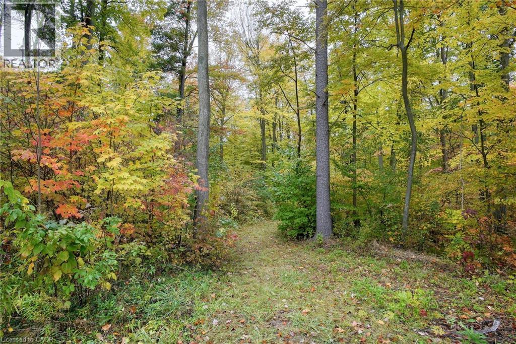 1392 Wrigley Road, Ayr, Ontario  N0B 1E0 - Photo 4 - 40775206