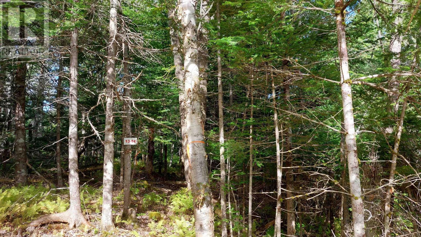 Lot 14 Golden Shore Dr, Marshes, Nova Scotia  B0E 1V0 - Photo 15 - 202524498