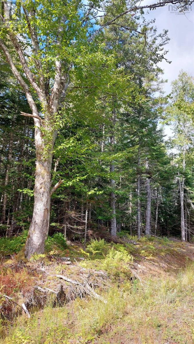 Lot 14 Golden Shore Dr, Marshes, Nova Scotia  B0E 1V0 - Photo 14 - 202524498