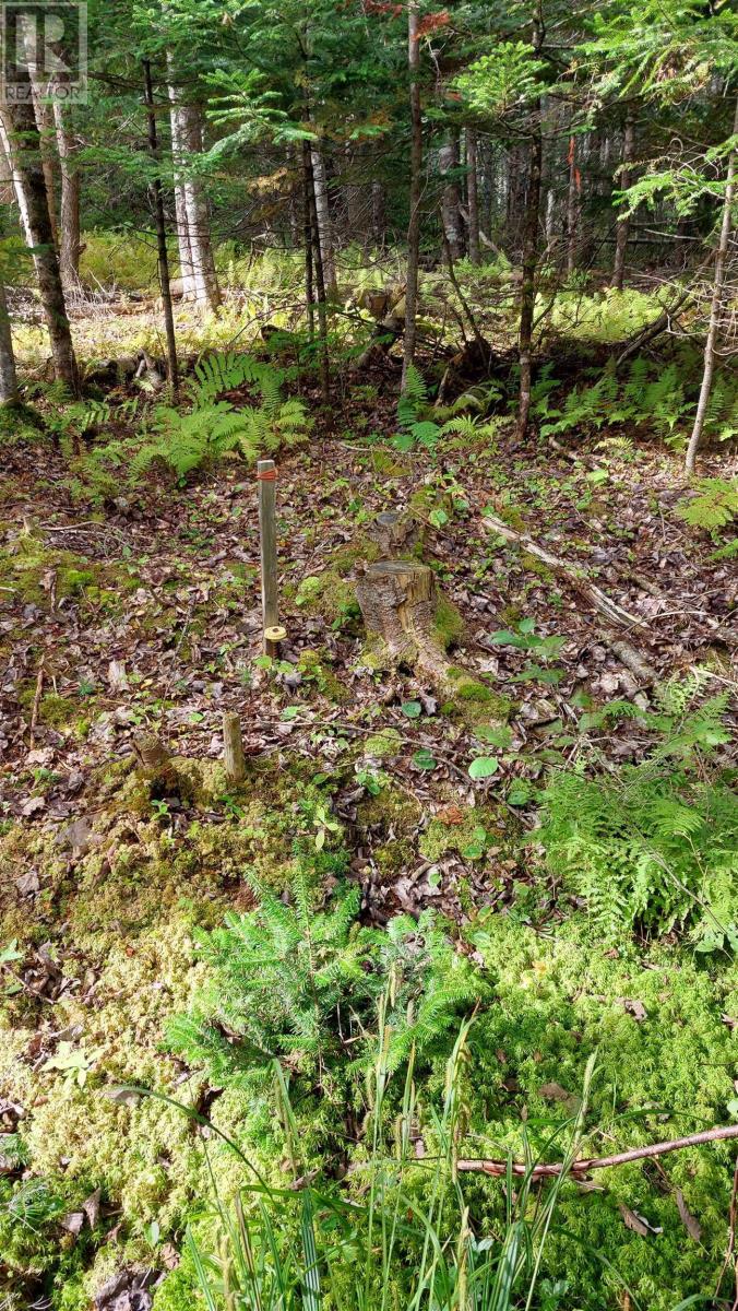 Lot 14 Golden Shore Dr, Marshes, Nova Scotia  B0E 1V0 - Photo 16 - 202524498