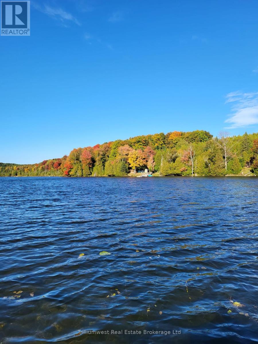 133596 Wilcox Lake Road, Grey Highlands, Ontario  N0C 1E0 - Photo 47 - X12384780