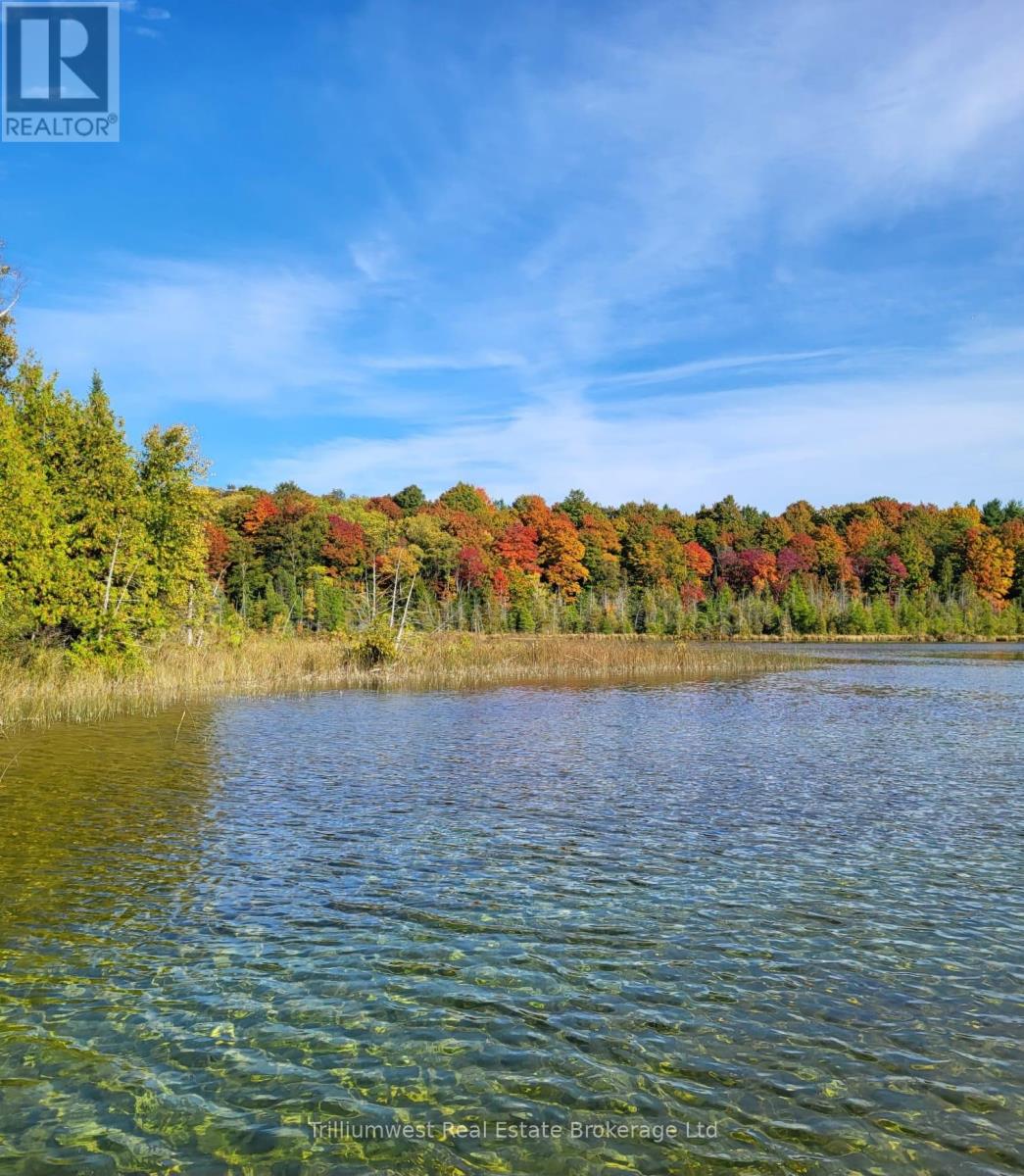 133596 Wilcox Lake Road, Grey Highlands, Ontario  N0C 1E0 - Photo 49 - X12384780