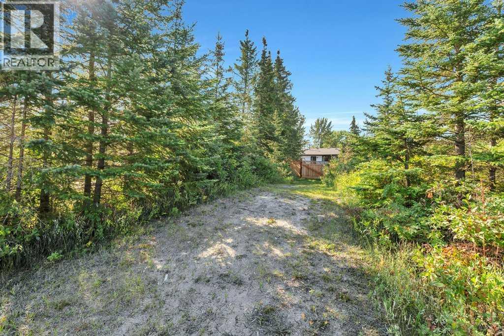101 Lakeview Avenue, Gull Lake, Alberta  T4L 2N1 - Photo 36 - A2252686