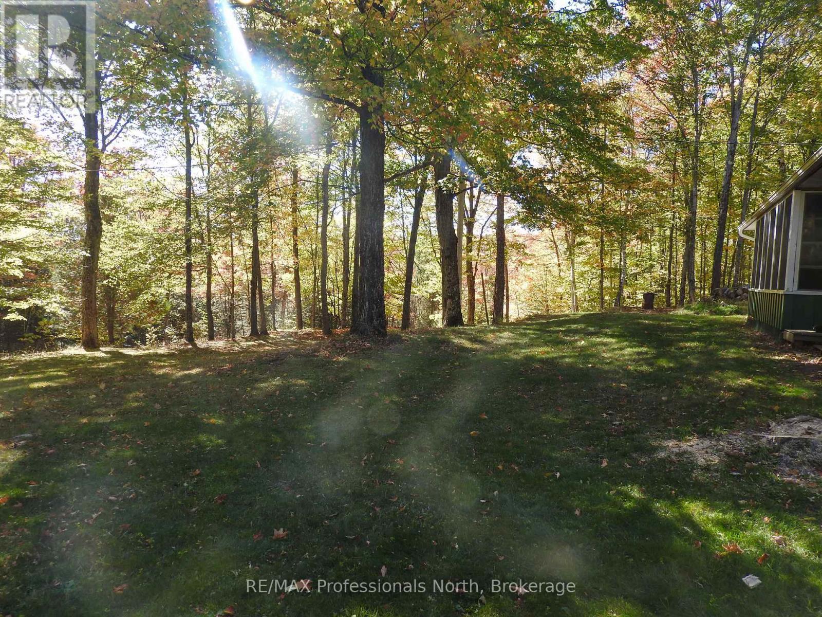 1386 Ingram Road, Wollaston, Ontario  K0L 1P0 - Photo 28 - X12442287