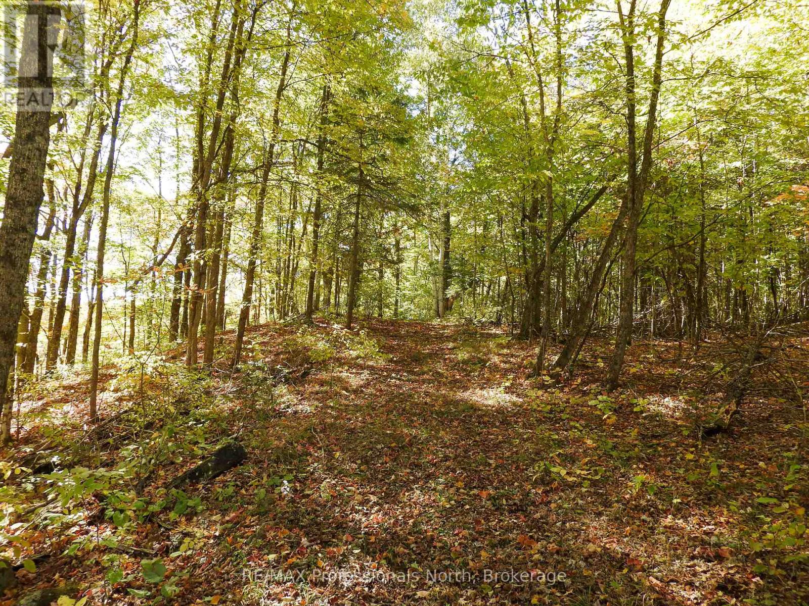 1386 Ingram Road, Wollaston, Ontario  K0L 1P0 - Photo 37 - X12442287