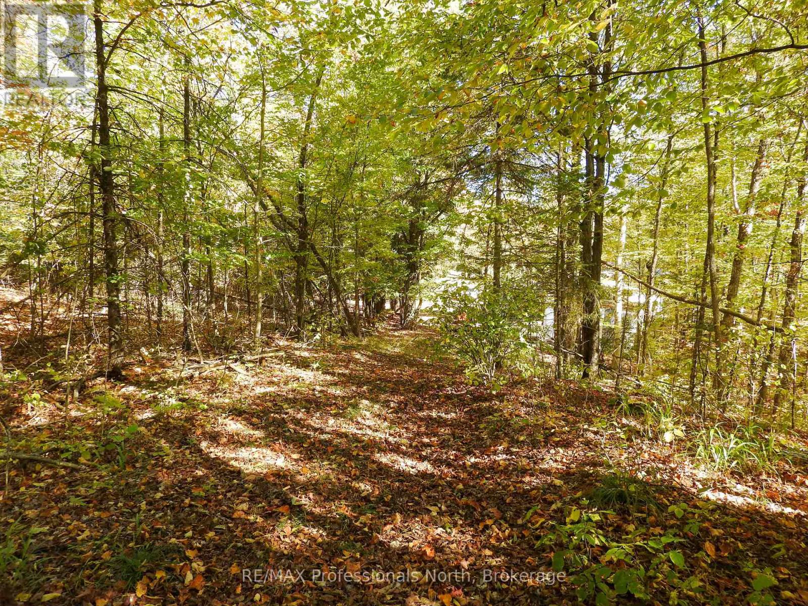 1386 Ingram Road, Wollaston, Ontario  K0L 1P0 - Photo 39 - X12442287