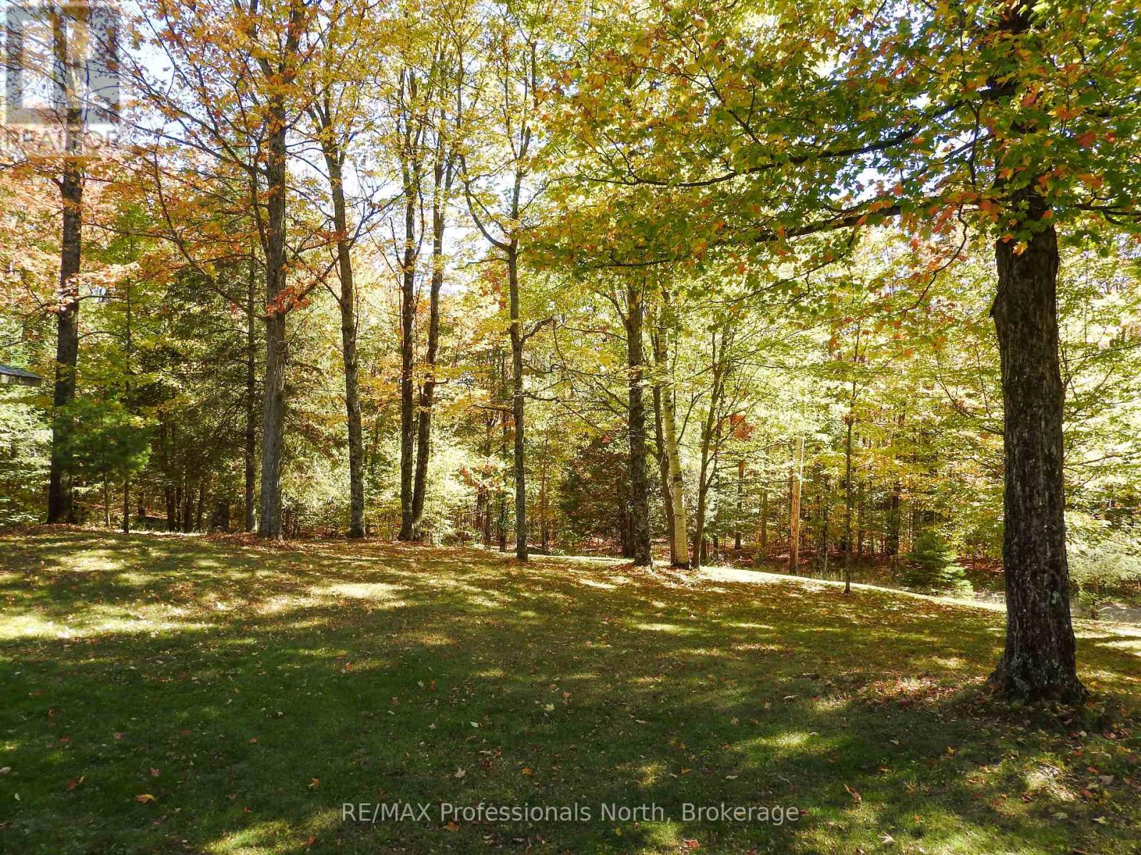 1386 Ingram Road, Wollaston, Ontario  K0L 1P0 - Photo 42 - X12442287