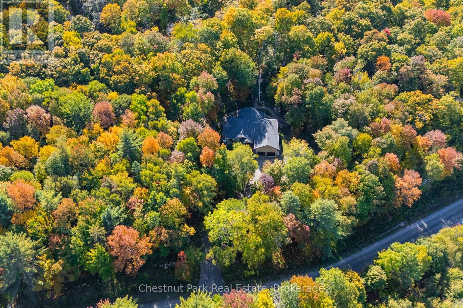 170 Springfield Road, Huntsville, Ontario  P1H 0H8 - Photo 41 - X12442339