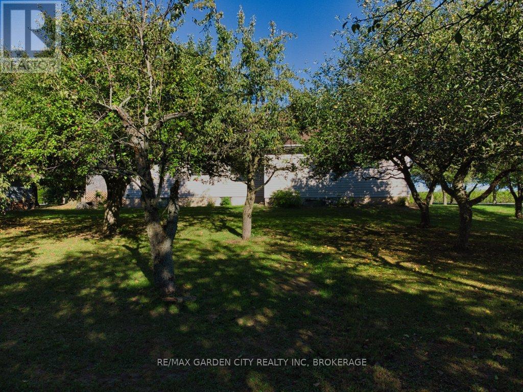 3814 Eleventh Street, Lincoln (Lincoln-Jordan/vineland), Ontario  L0R 1S0 - Photo 43 - X12442314