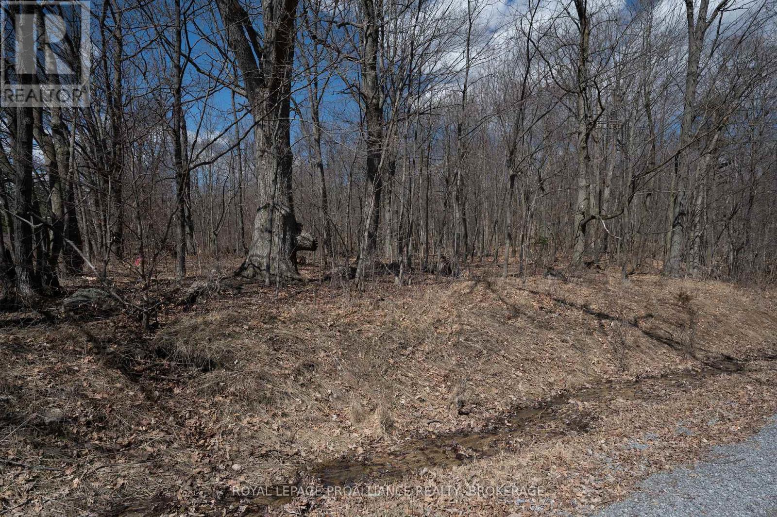 Lot 3 Baseline Road, Frontenac Islands (The Islands), Ontario  K7G 2V6 - Photo 14 - X12442508