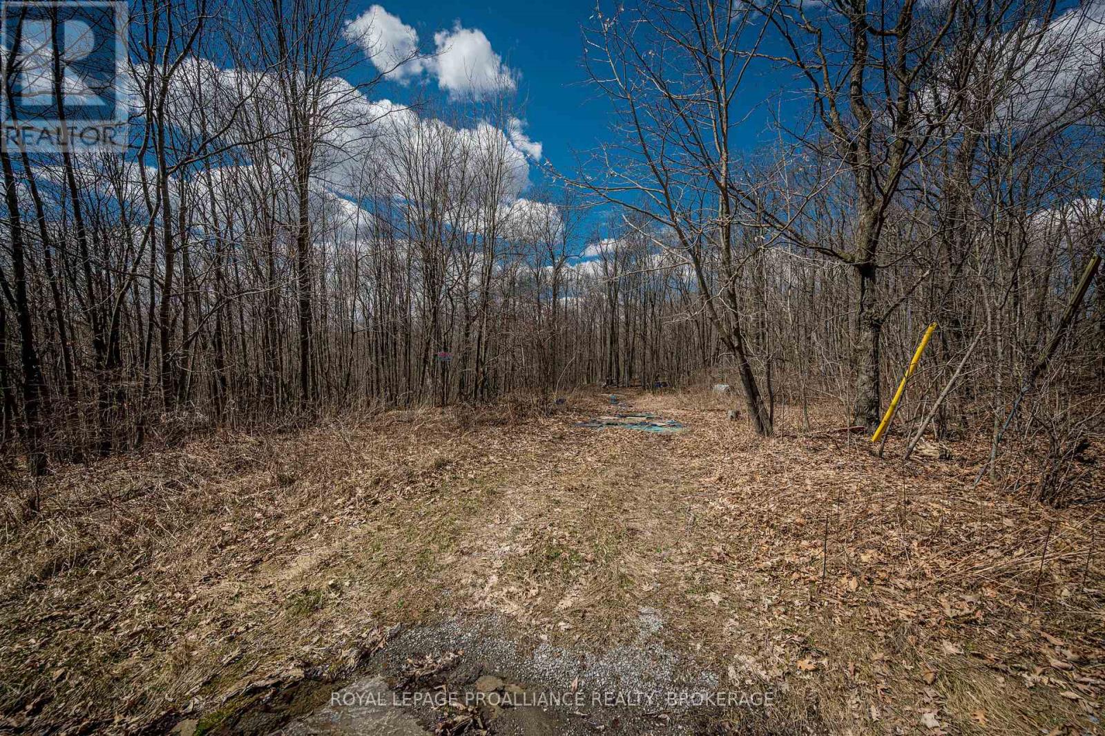 Lot 3 Baseline Road, Frontenac Islands (The Islands), Ontario  K7G 2V6 - Photo 16 - X12442508