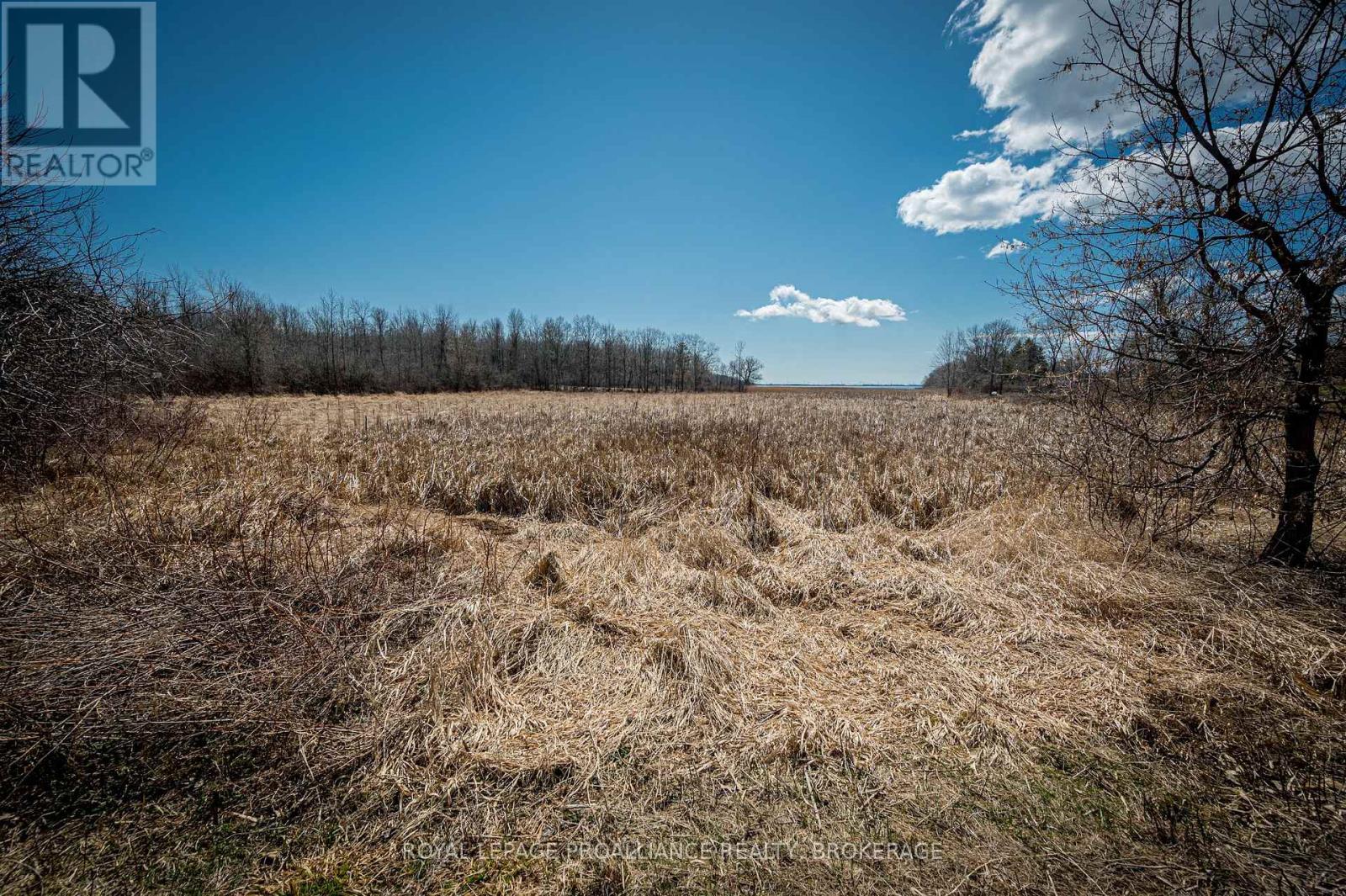 Lot 3 Baseline Road, Frontenac Islands (The Islands), Ontario  K7G 2V6 - Photo 5 - X12442508