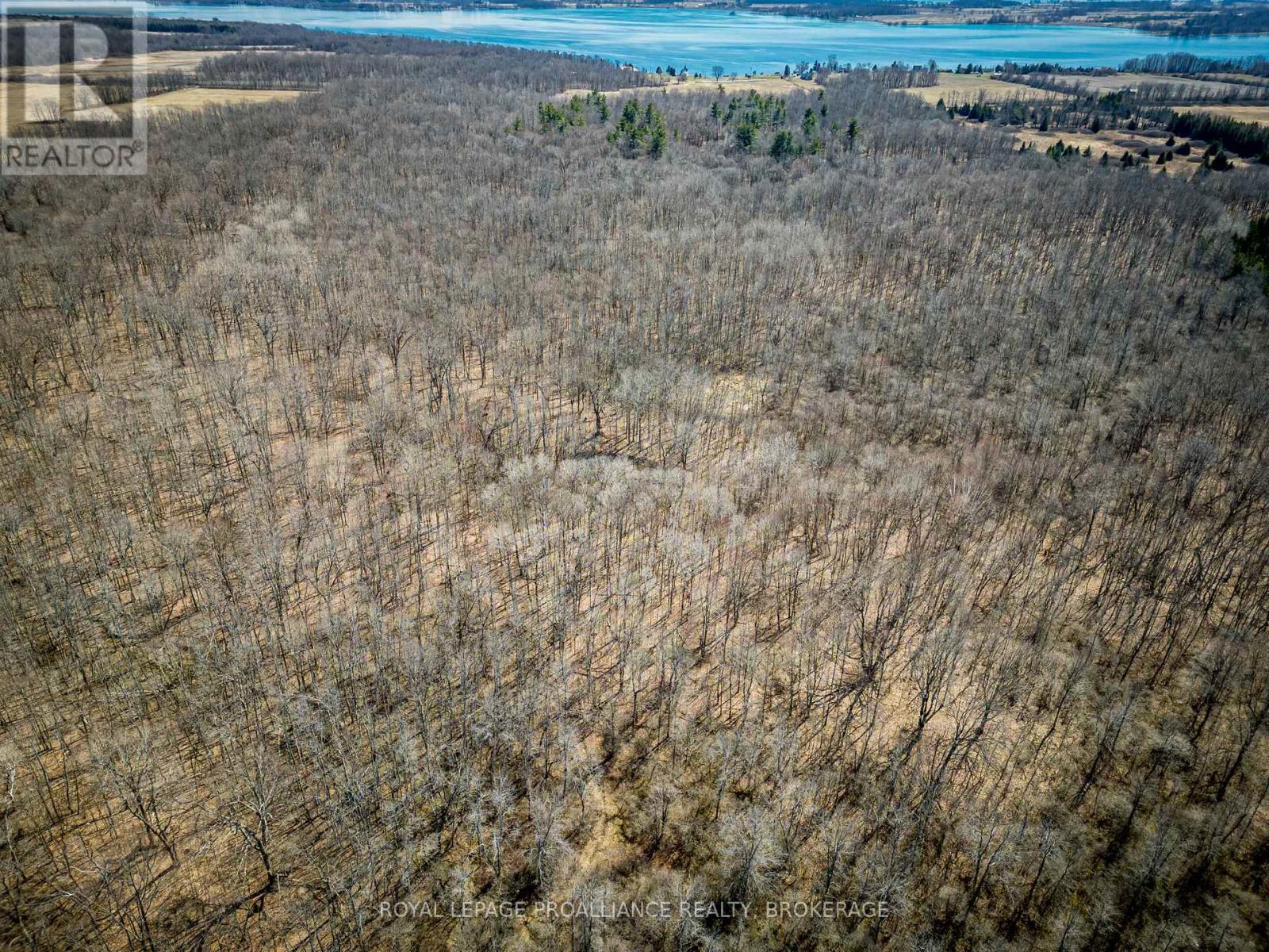 Lot 3 Baseline Road, Frontenac Islands (The Islands), Ontario  K7G 2V6 - Photo 6 - X12442508