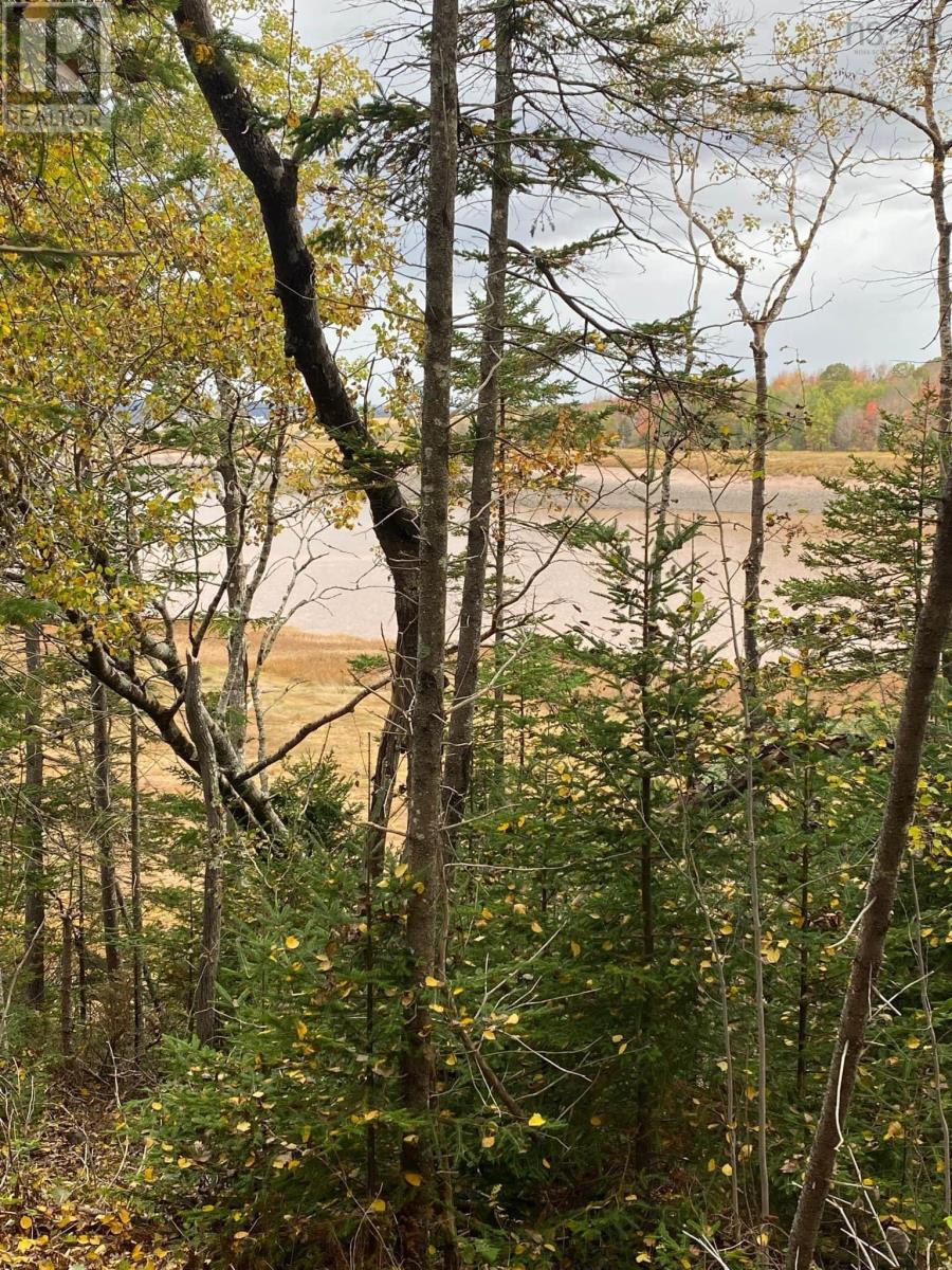 697 Belmont Road, Belmont, Nova Scotia  B0N 2A0 - Photo 43 - 202522748