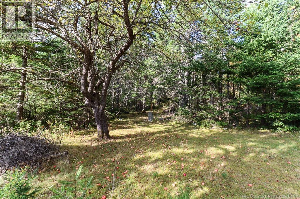513 Route 111, Willow Grove, New Brunswick  E2S 1G8 - Photo 15 - NB127748